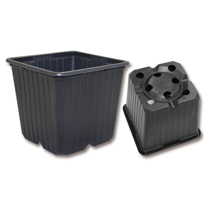 Pot carré DESCH Range 5° noir 9 x 9 x 8 cm, 1216 pièces