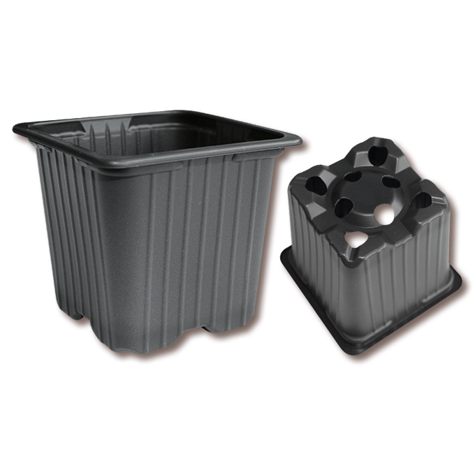 Pot carré DESCH 5° noir 7 x 7 x 6 cm, 3612 pièces