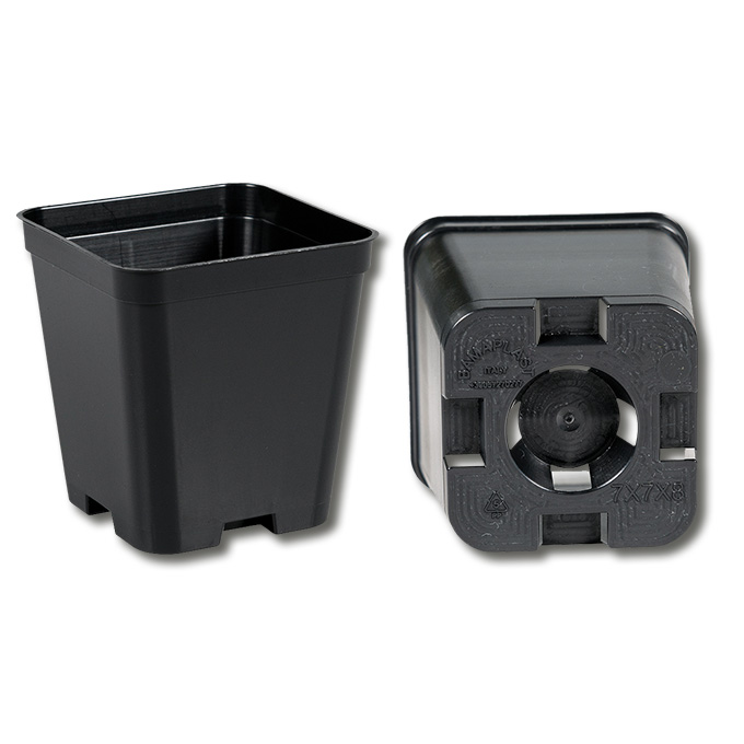 Conteneurs rectangulaires noirs 7 x 7 x 8 cm, 600 pièces