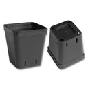 Kakteen-Container schwarz 6 x 6 x 7 cm, 2000 Stück