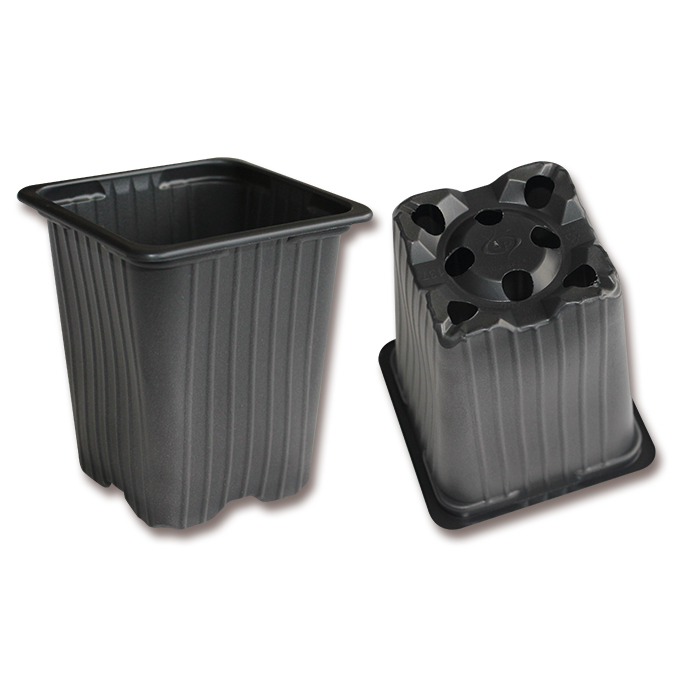 Pot carré DESCH Range 5° noir 7 x 7 x 8 cm, 3528 pièces