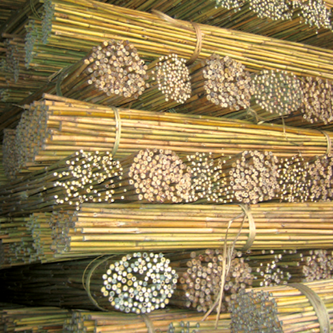 Tonkin-Stab 210 cm ø 20-22 mm, Bund à 50 Stück