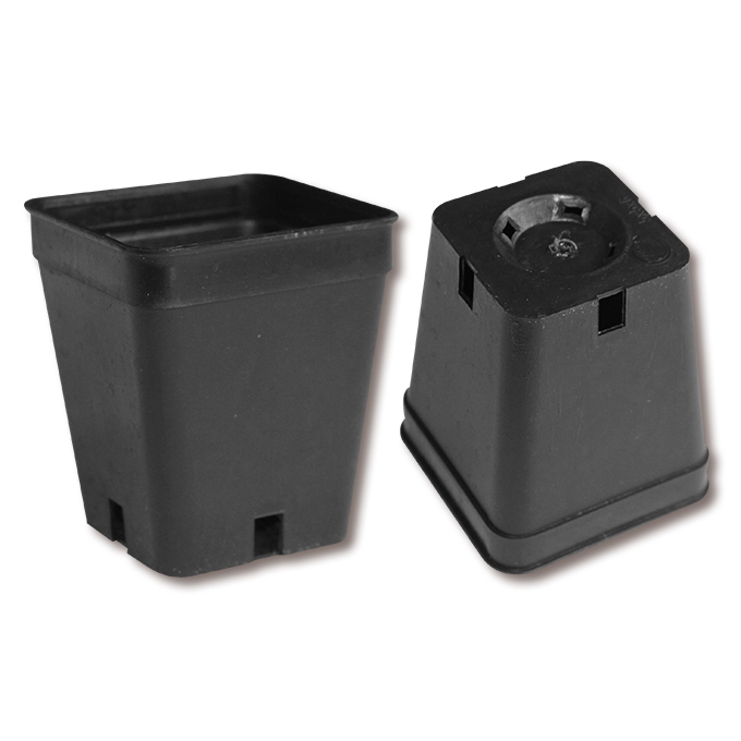 Kakteen-Container schwarz 5 x 5 x 6 cm, 2700 Stück