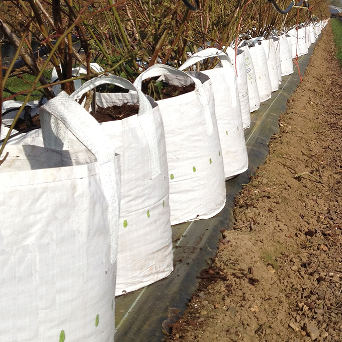 Baumschulcontainer White Bag 150 lt