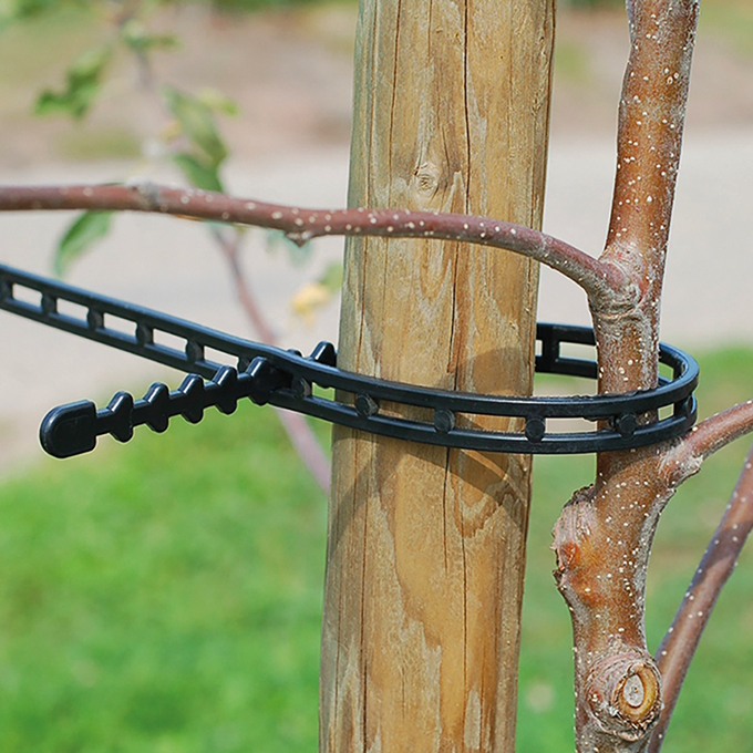 Attache pour troncs d’arbre, longueur 420 mm, 100 pièces