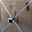 Spalierset GRIPPLE verzinkt