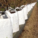 Conteneur pépinière White Bag 750 lt