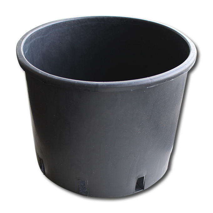Conteneur pépinière noir 10 lt, forme basse