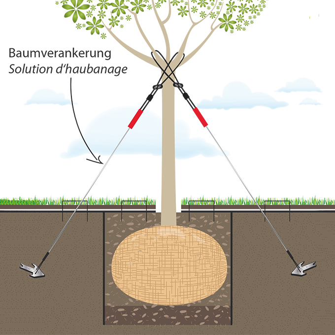 Kit d’haubanage, hauteur de l'arbre de 4-7 m