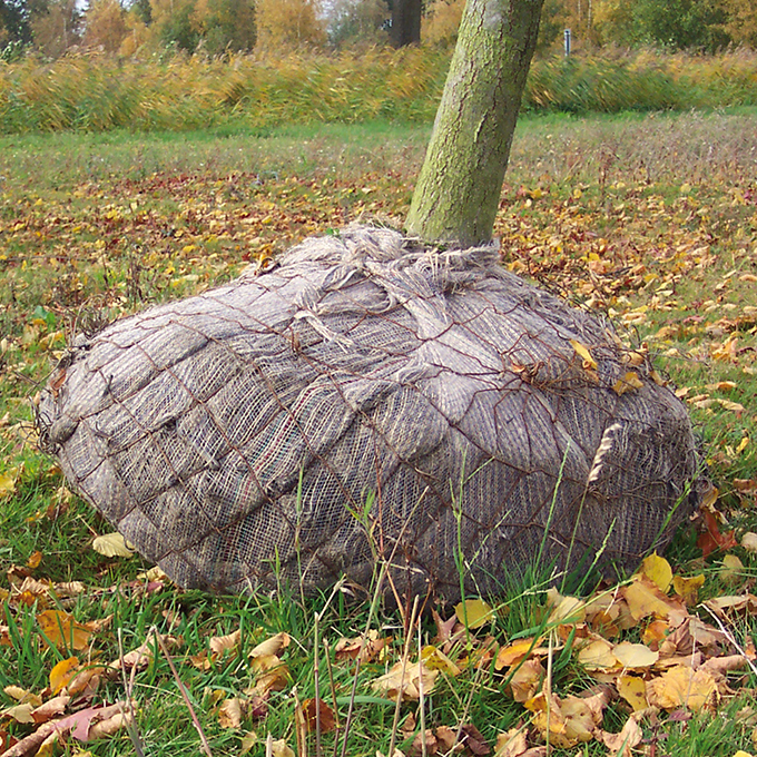 Balliergewebe PLANTATEX 100 cm breit, Rolle à 100 m