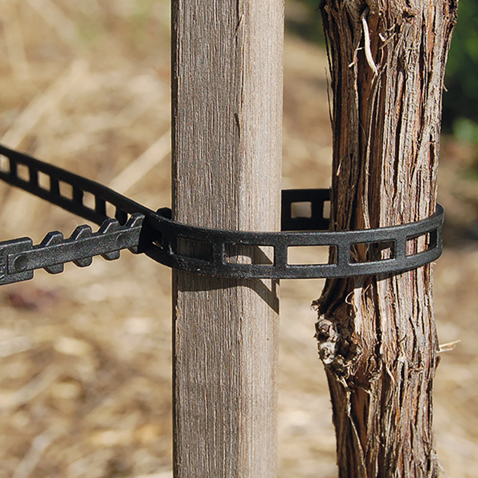 Attache pour vignes, longueur 235 mm, sachet de 250 pièces