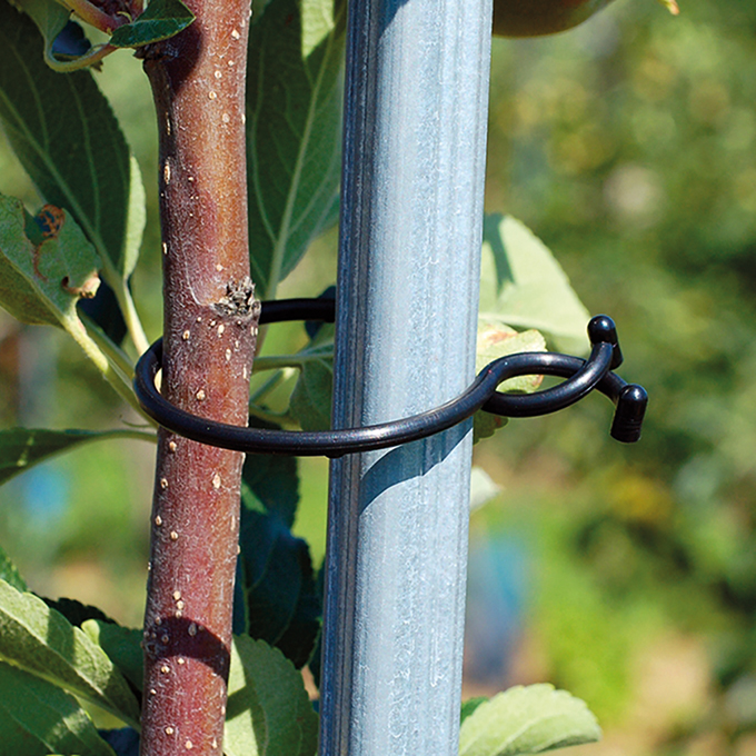 Ringklammer 32 mm Ø, Beutel à 1000 Stück