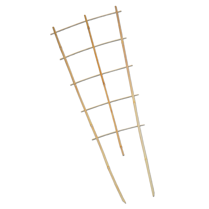 Espalier pour plantes grimpantes en bambou 80 cm, bâtons 3/4