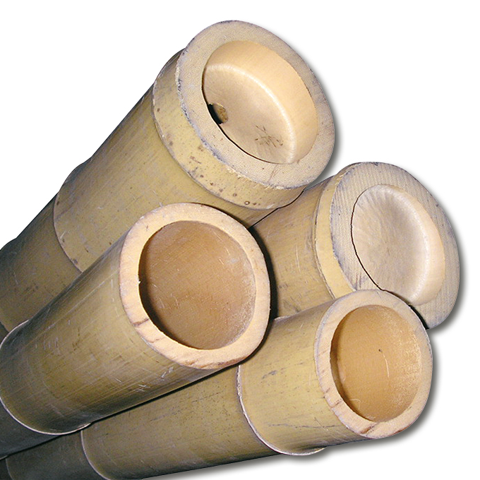 Bâtons de bambou pour la décoration 310 cm ø 80/100 mm, écru