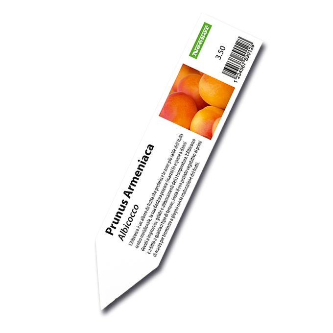 Étiquettes à ficher pour imprimante laser blanche, 25 x 115 mm, 2'000 étiquettes