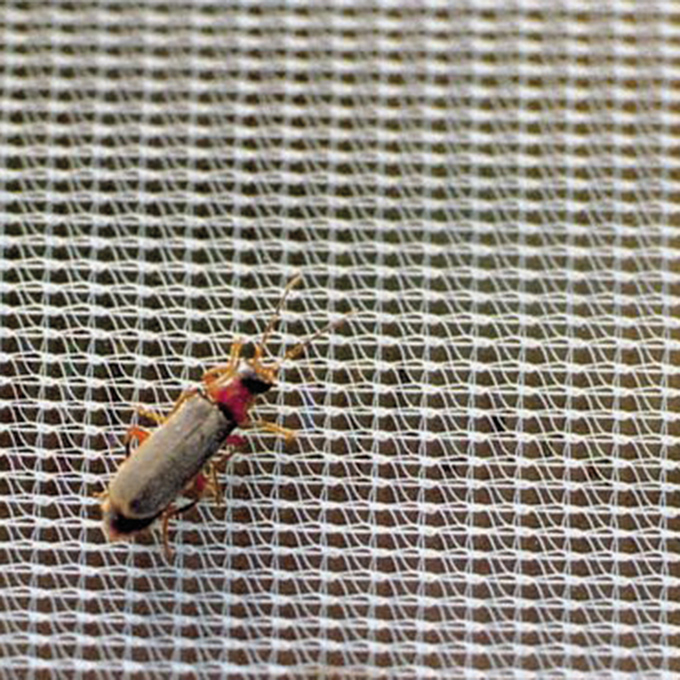 Filet de protection FILBIO largeur 420 cm, longueur 100 m