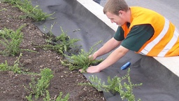 [137.000] Toison contre mauvaises herbes PLANTEX PRO, 90 g/m², longueur 50 m, largeur 100 cm