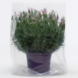 [453.068] Flachbeutel transparent 60 x 75 cm, Rolle à 100 Stück