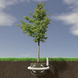 [202.760] Set complet: 10 m tube drain DN 80, 1 pièce en T, 1 bouchon