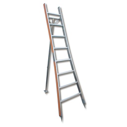 [205.130] Buschbaumleiter aus Aluminium, 10 Sprossen, 3.09 m lang