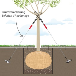 [202.880] Baumverankerung, Baumhöhe 2-4.5 m