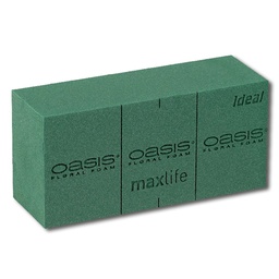 [231.405] OASIS® IDEAL brique de mousse, 35 briques