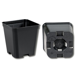 [230.200] Kakteen-Container schwarz 7 x 7 x 8 cm, 600 Stück