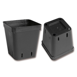 [230.198] Kakteen-Container schwarz 6 x 6 x 7 cm, 2000 Stück