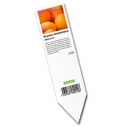 [403.503] Étiquettes à ficher pour imprimante laser blanche, 40 x 160 mm, 1'250 étiquettes