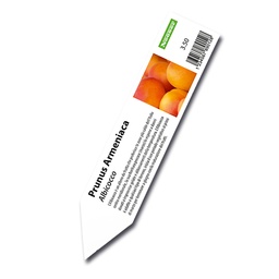 [403.526] Laser-Stecketiketten weiss, 25 x 115 mm, 2'000 Etiketten