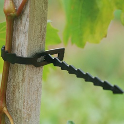 [203.755] Plastoband 120 mm, Beutel à 1000 Stück